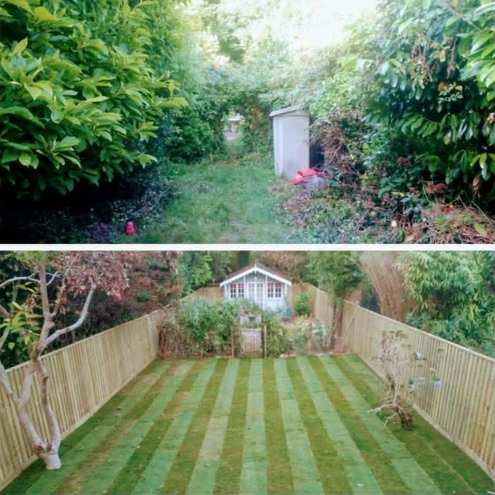 Before and after: an overgrown back garden, then the same garden cleared, freshly turfed and fenced on both sides
